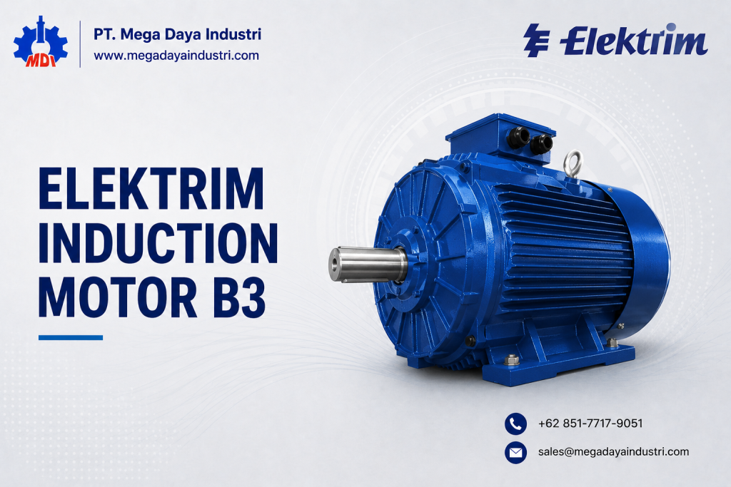 Elektrim Induction Motor B3