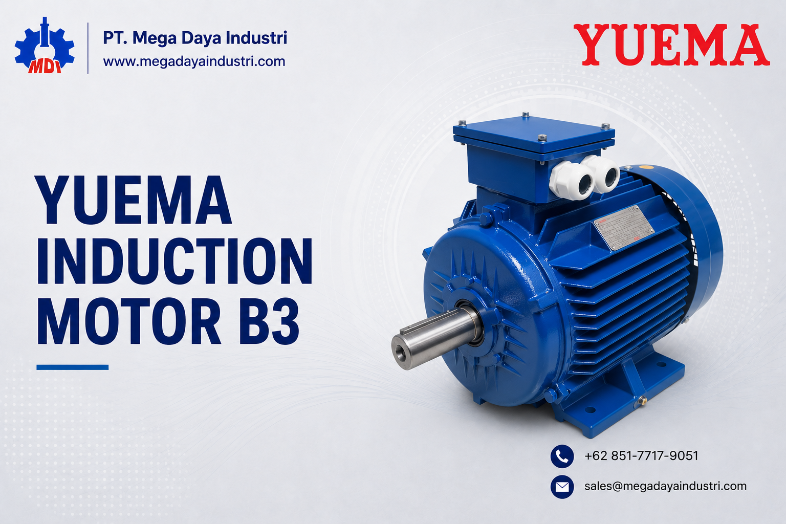 Yuema Induction Motor B3